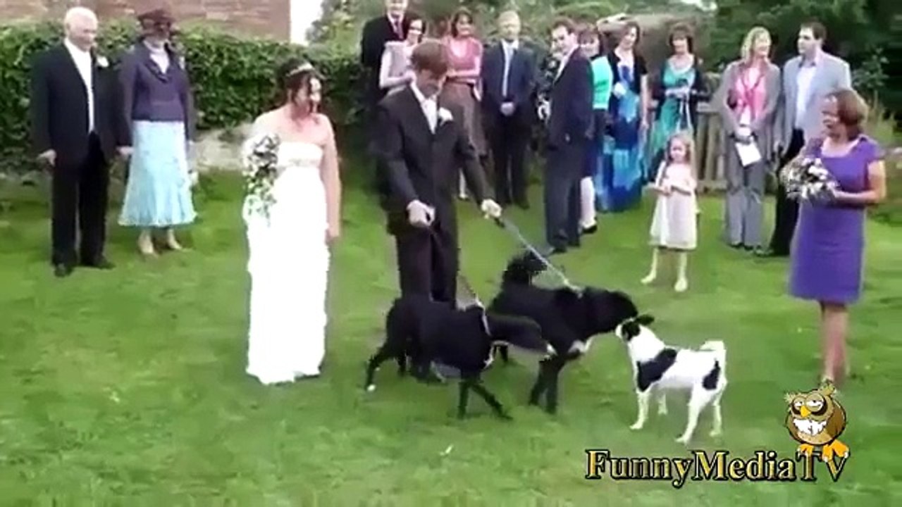 TOP funny people Falling Videos funny people Falling 2014 new January Epic Fails Compilation