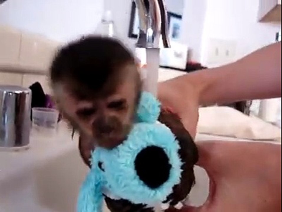 Baby monkey bath!