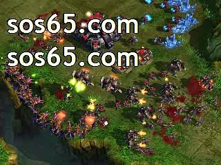 프로배구팀＼＼＼ ＳＯＳ６５ㆍＣＯＭ ／／／배구놀이터 배구해외픽
