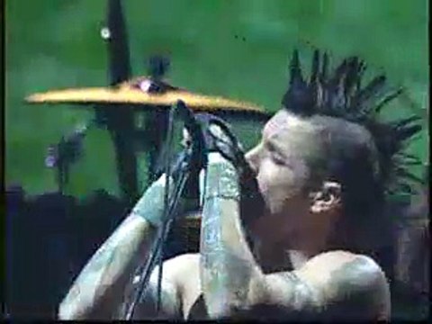 Red Hot Chili Peppers - Parallel Universe