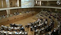 AP 12 décembre 2014 - Intervention de Fabienne LEVY sur le renouvellement de la convention avec Rhône-Alpes Cinéma 2015-2019