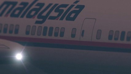 Le crash du vol MH17 en Ukraine