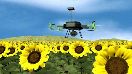 Les drones prennent leur envol et devraient s'imposer dans notre quotidien
