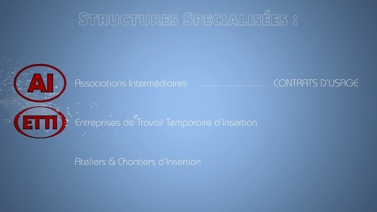 Qu'est-ce-que l'Insertion par l'Activité Economique (IAE) ?