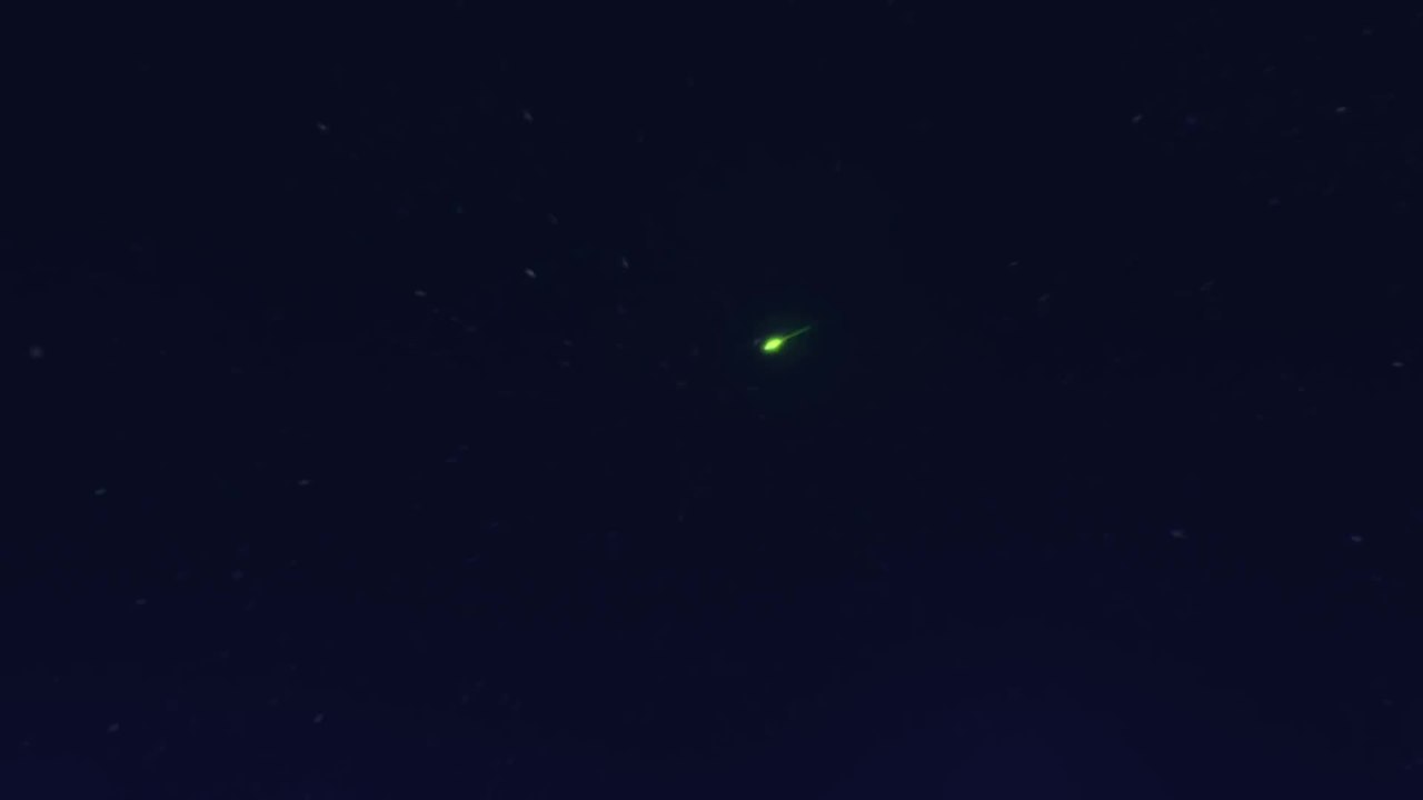 Tinkerbell und die Legende vom Nimmerbiest - Trailer (Deutsch) HD