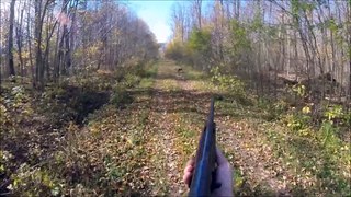 Autumn Blaze Ruffed Grouse Hunting