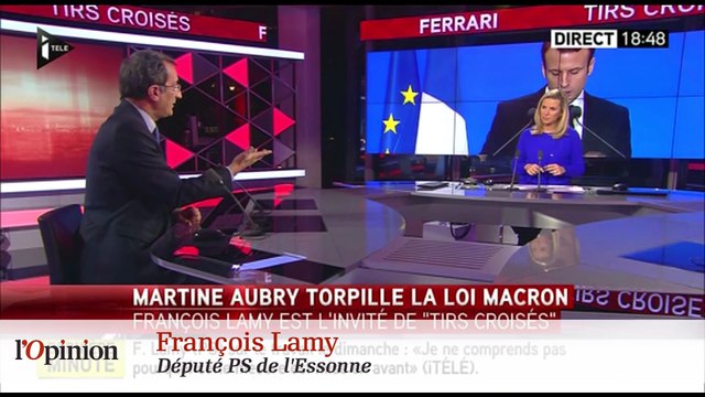Aubry-Cambadélis : l'axe anti-Valls