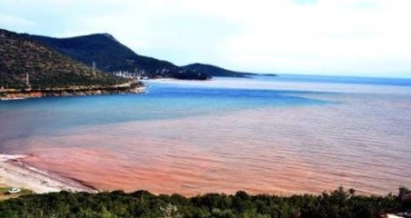 Sağanak Yağmur Bodrum'u Vurdu