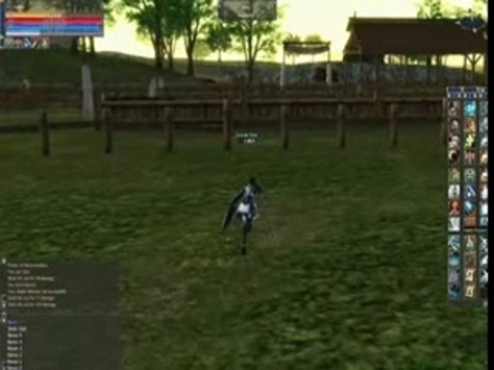 Lineage Duel vallork Sinok