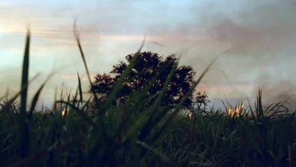 True Detective Tease Clip #1 (HBO)