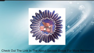 Iron Stop Iron Stop Animated Patriotic Wind Spinner - NDA142-10 Review