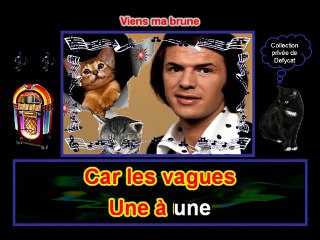 Adamo - Viens ma brune.