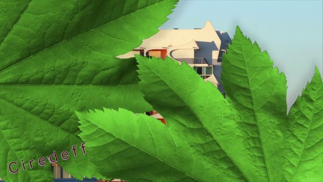 2/2 Tourisme en France Visitez La Grande Motte Les pyramides La plage Tourism in France Visit La Grande Motte Pyramids Beach Tourismus in Frankreich Besuchen Sie La Grande Motte Pyramiden Sandstrand Turismo en Francia Visitar La Grande Motte