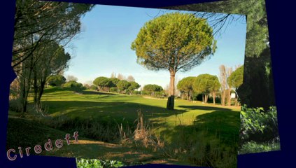 Tải video: 1/2 Tourisme en France Visitez La Grande Motte L'étang du Ponant Le golf La pinède Le port --Tourism in France Visit La Grande Motte --Tourismus in Frankreich Besuchen Sie La Grande Motte --Turismo en Francia Visitar La Grande Motte --Turismo in Francia