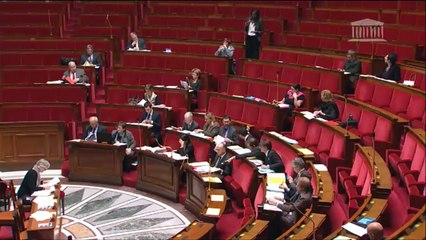 Seybah Dagoma - Réforme de l'asile - 11 décembre 2014
