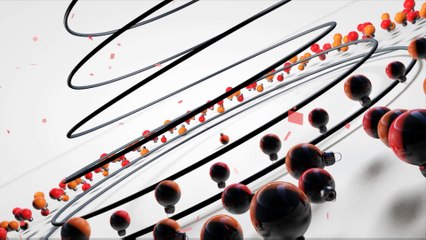 Merry Christmas from The Legal Stop!