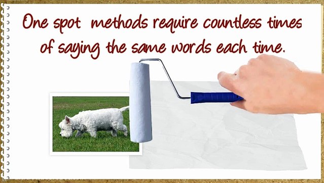 Potty Training West Highland White Terrier Westies!