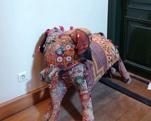 Extrait DVD « Animal Normal : Conversations avec Yona Friedman 2007-2014 » de Caroline Cros et Antoine de Roux