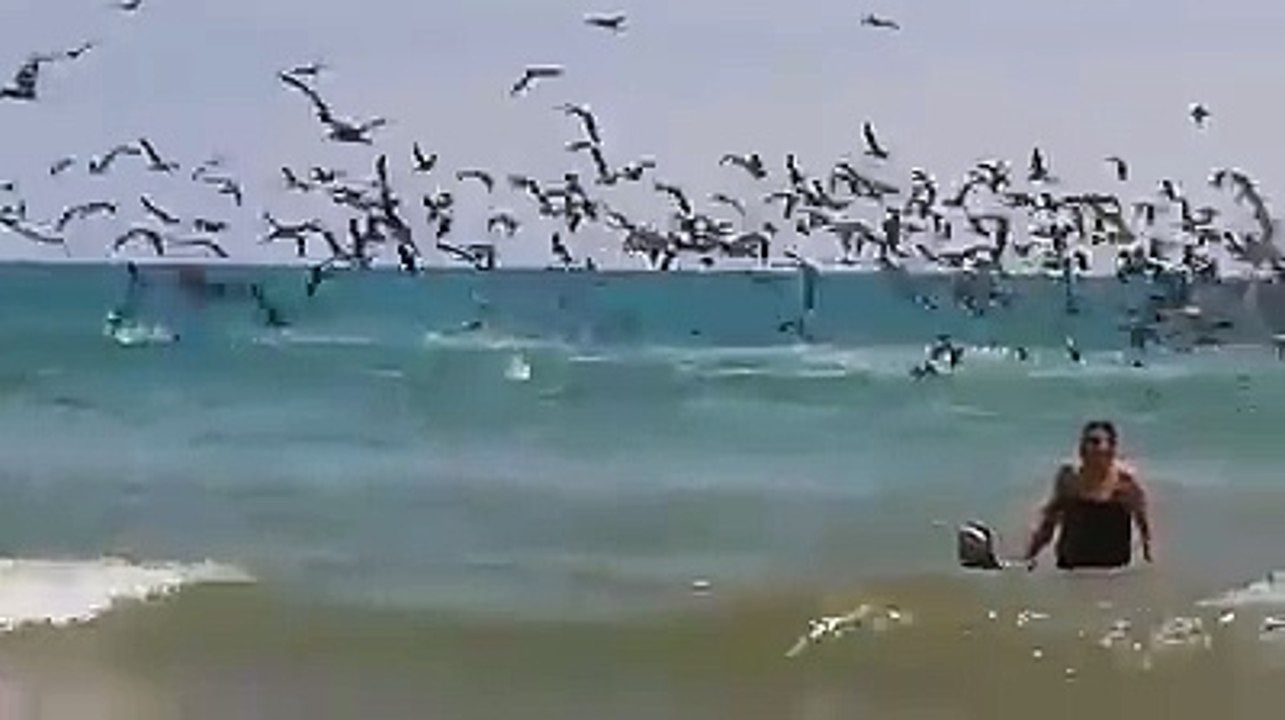 amazing and interesting video.