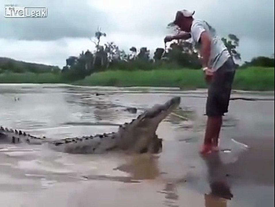 playing with crocodile could be dangerous,