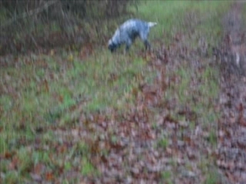 Vidéo theasie