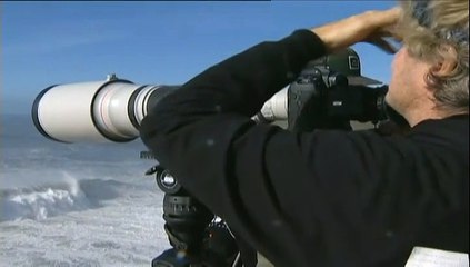 Portugal : pas de record pour les surfeurs cette année sur la vague de Nazaré