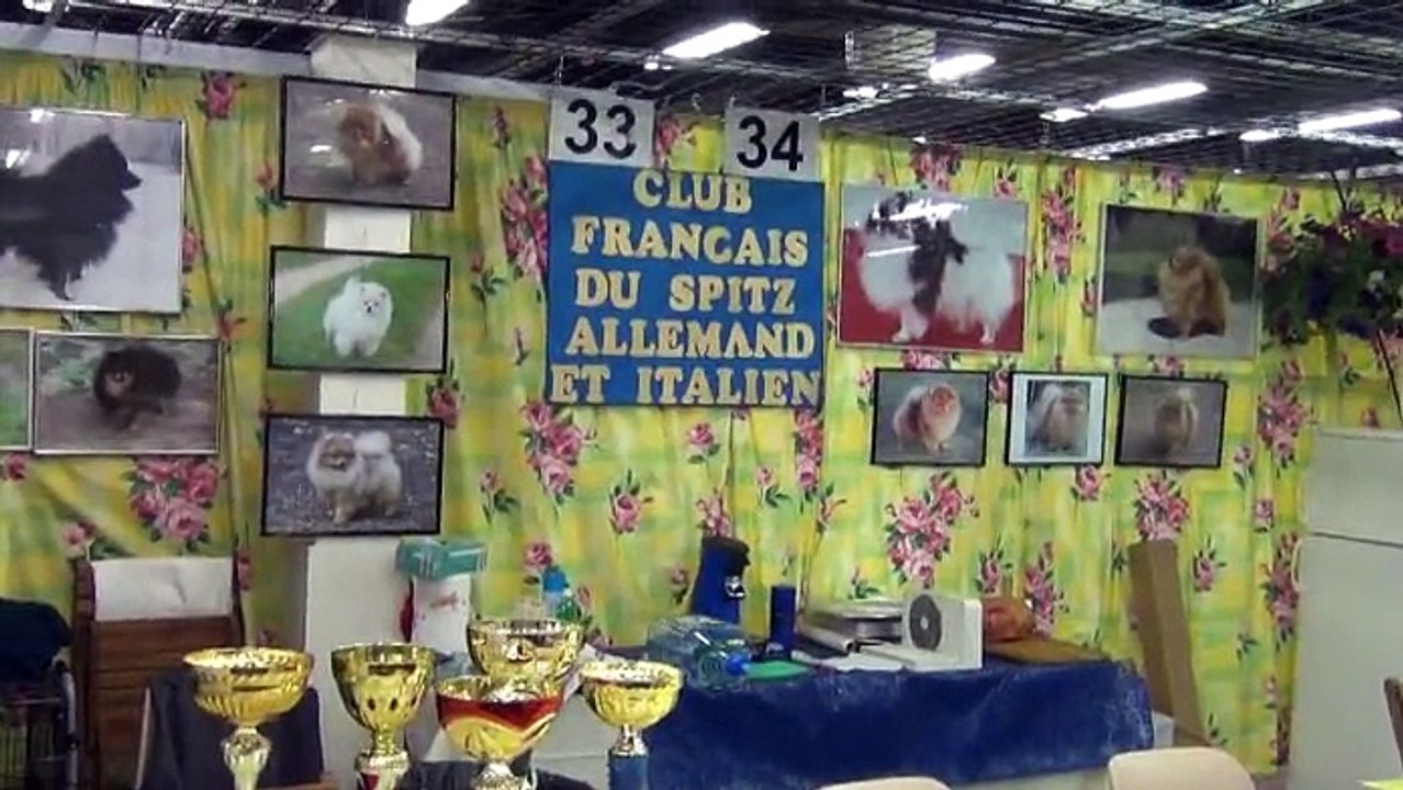 Angers 2014