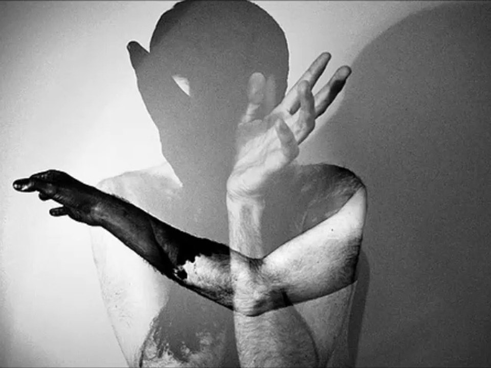 Das Synthetische Mischgewebe - A4/ From The Diaries Of A Syringe