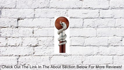 Serpent Around Globe Hardwood Walking Stick w Pewter Handle (The Digital Angel) Review