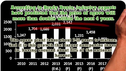 2015 Shortage of Agave by Brady Bunte