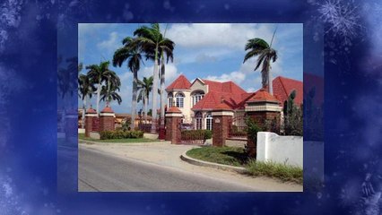 Vacation with Aruba Palms