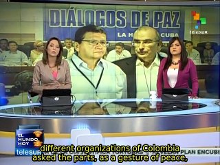 Colombian NGO's, politicians and peasants ask for a bilateral ceasfire