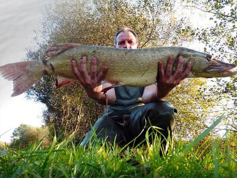 Vidéo 2014 du forum La truite et les carnassiers