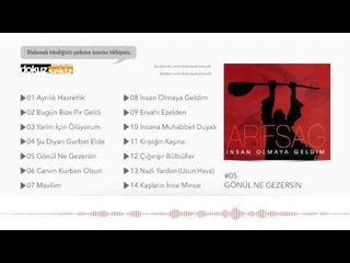 Arif Sağ - Gönül Ne Gezersin (Official Audio)
