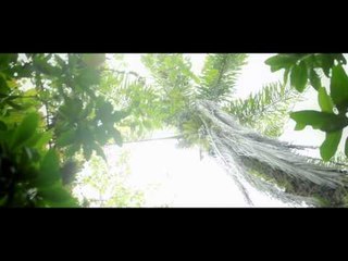 Yasemin Mori - Dünya (Official Video)
