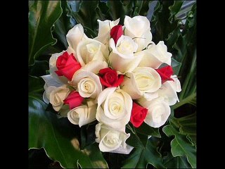 سورة الطور عبد الباسط عبد الصمد ترتيل amer