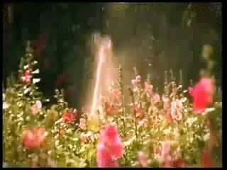 Kenan Topal - Düşman Oluruz