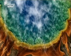 Home, O Mundo E A Nossa Casa - RTP2