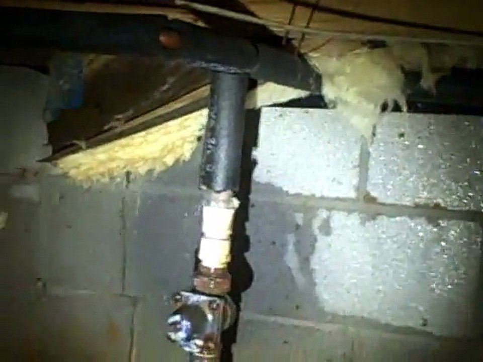 All-Pro Home Inspections, LLC