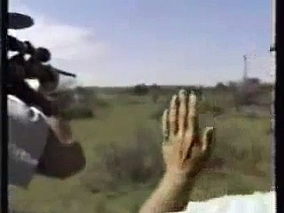 Lion Attack