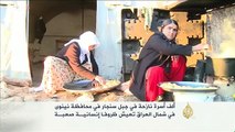 ألف أسرة نازحة في جبل سنجار بمحافظة نينوى