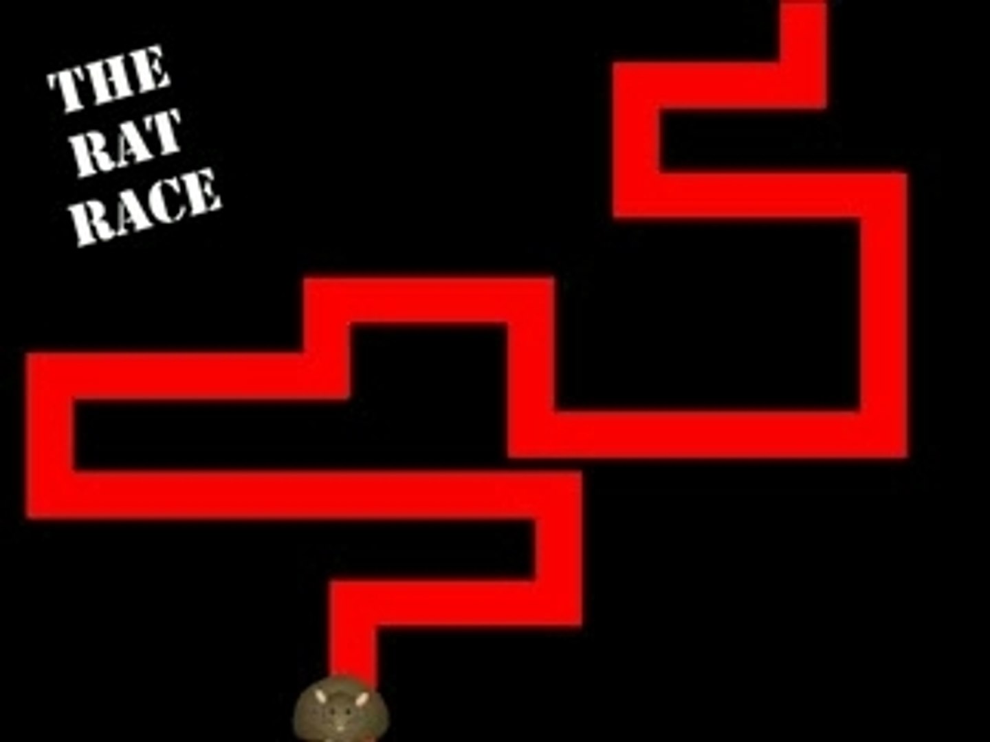 Rat race