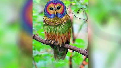 10 Fake Photos Everyone Thought Was Real