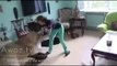 Horrific footage as lioness leaps on man