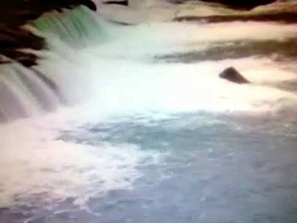 Hinos de louvores e súplicas a Deus - Janaina Kely - Aleluia.