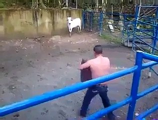 Dunya News-Dangerous Fight With Bull