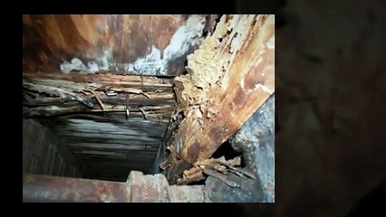 A Louisville Home Inspector Shows Home Inspection Horrors