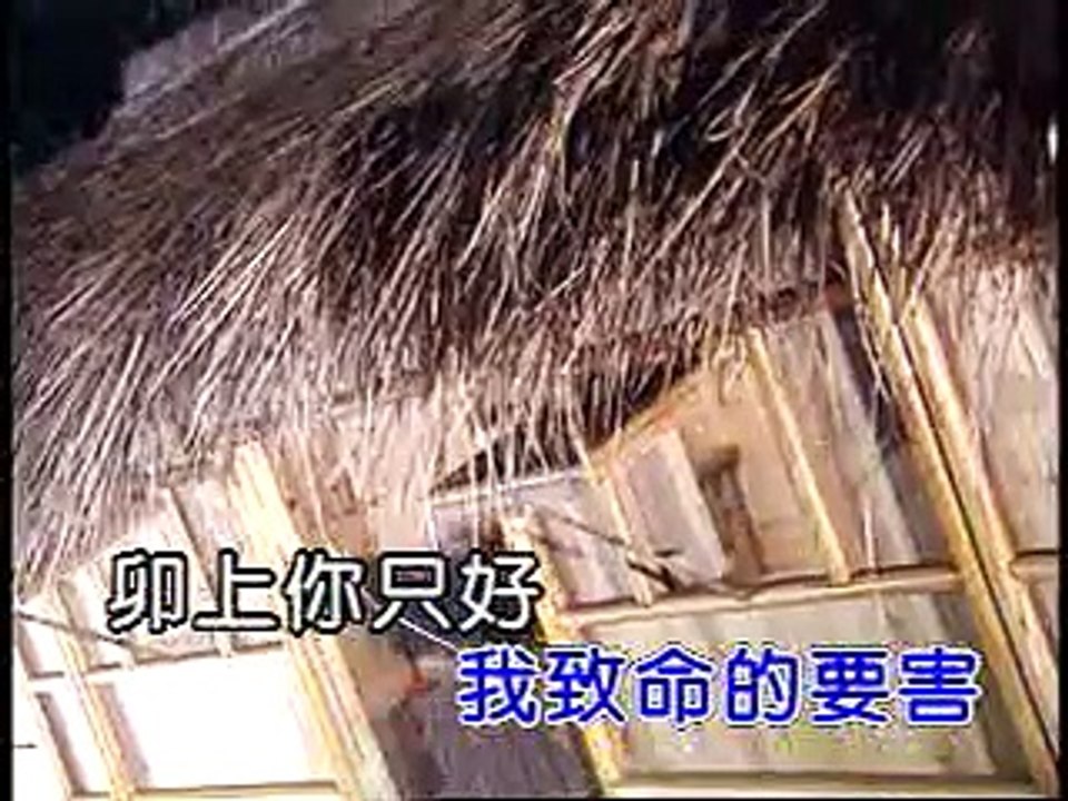 KTV - 張學友 - 你好毒