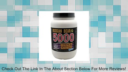 Vitol Russian Bear 5000 Cal Vanilla 4lb Review