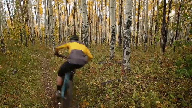Free Ride dans les Elk Mountains du Colorado : expérience magique!